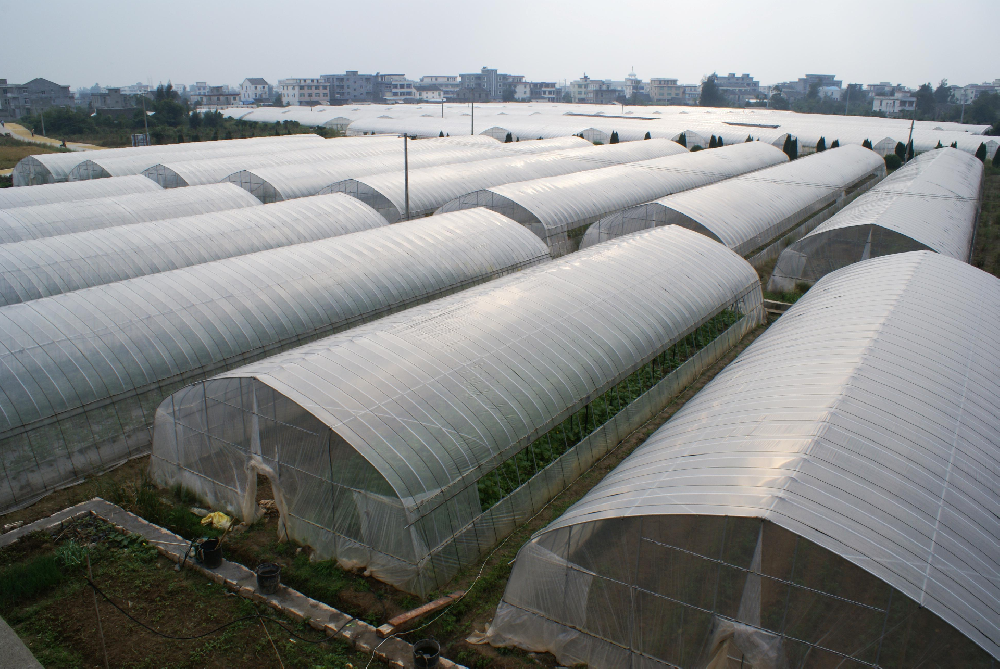 蔬菜大棚建设案例